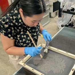 Norfolk Collections Centre